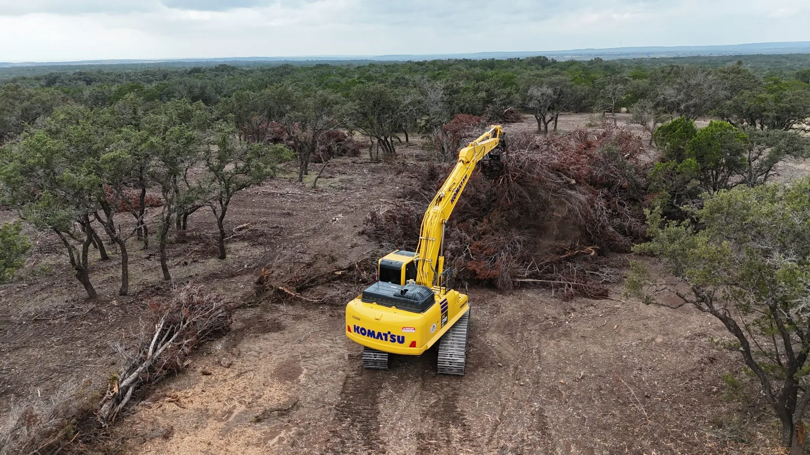 Excavator clearing cedar on a hill country tract