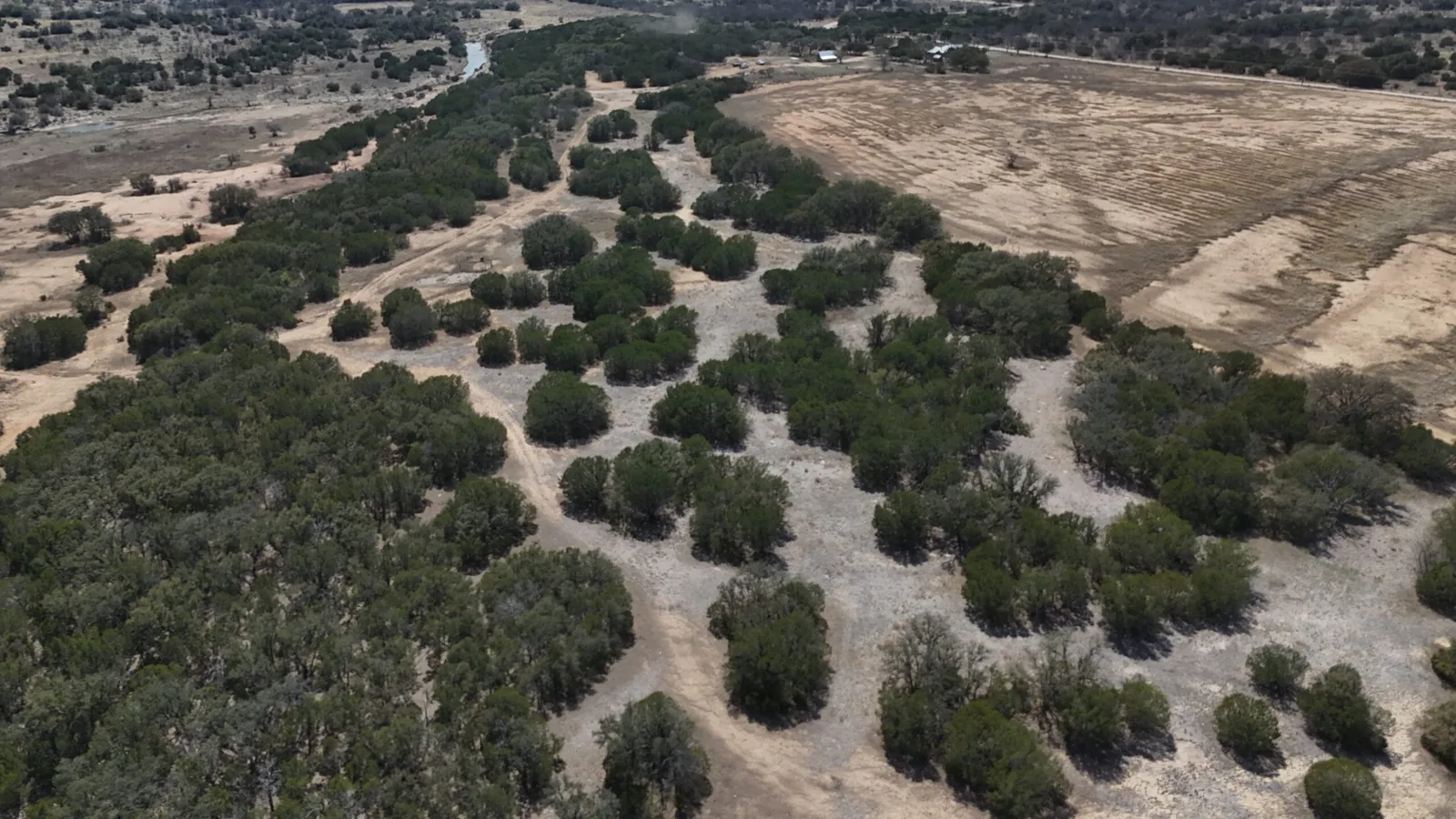 Aerial view of brush country with cleared caliche trails cut through it