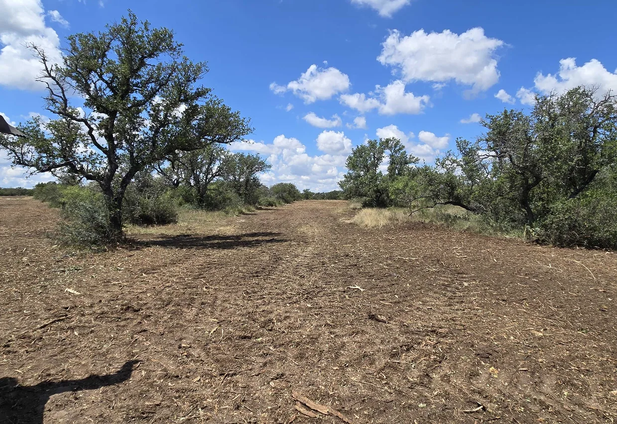 Cleared lane cut through mesquite and brush under a blue sky
