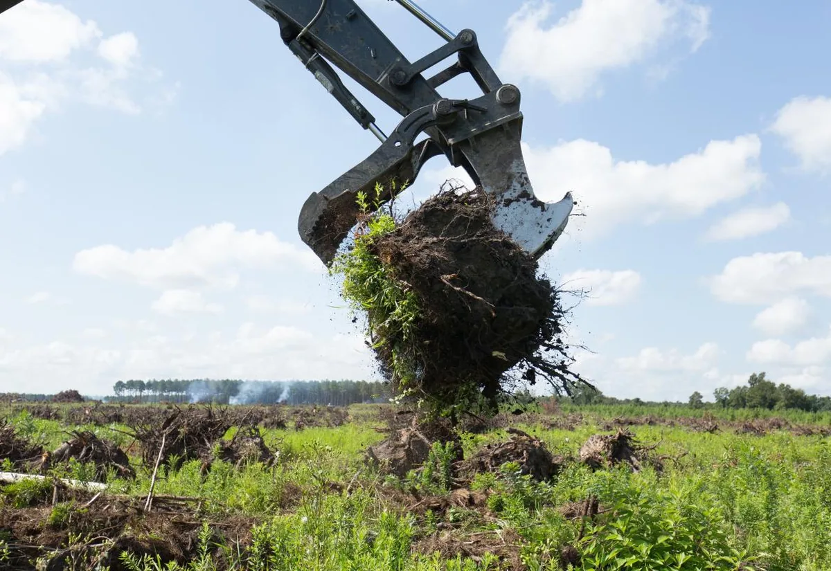 Excavator lifting a pulled stump and root ball off a cleared field