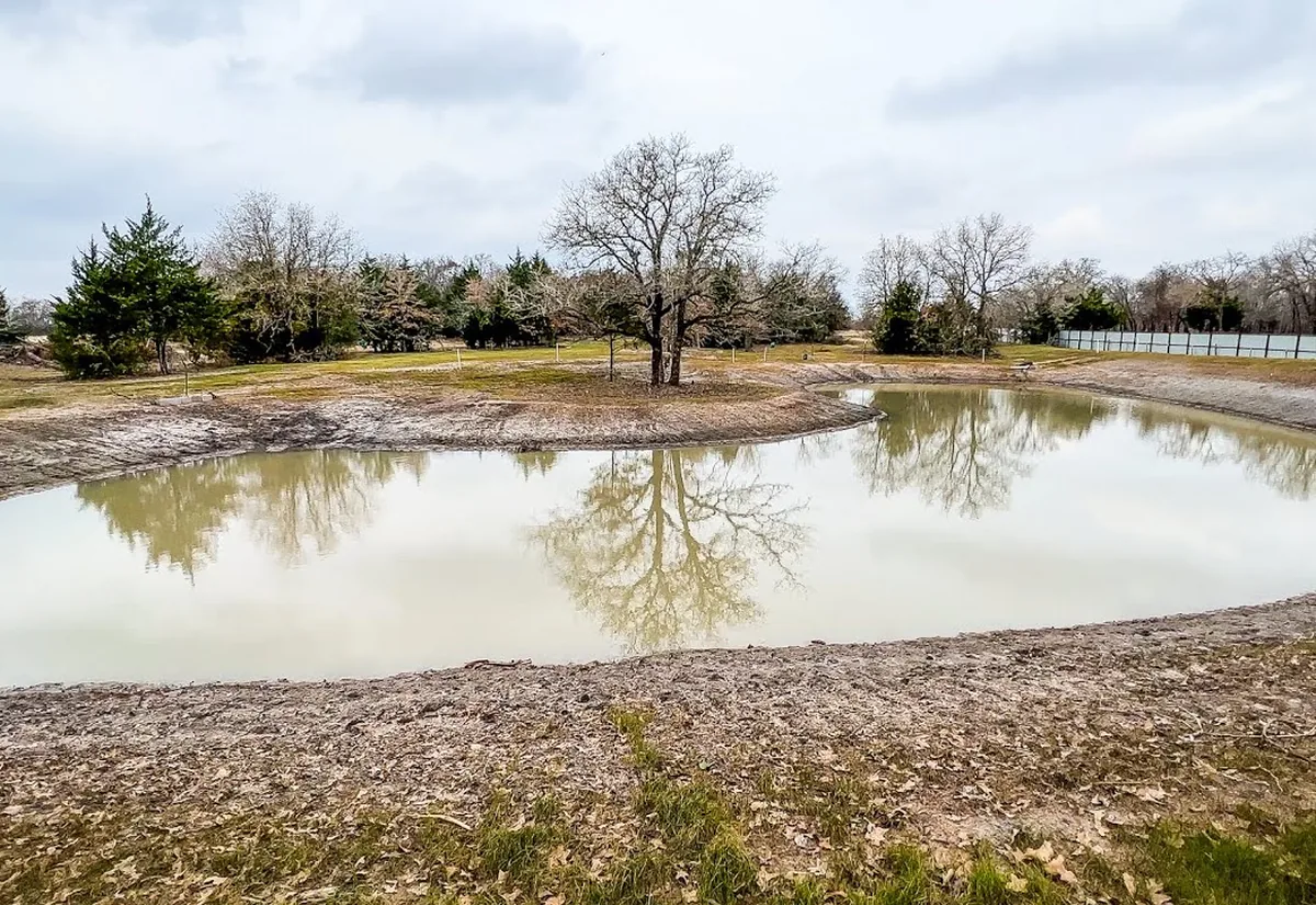 Newly dug pond starting to fill, bare graded banks around it