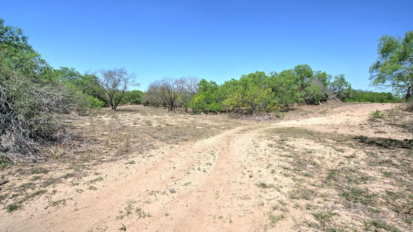 Sandy two-track ranch road running through mesquite brush